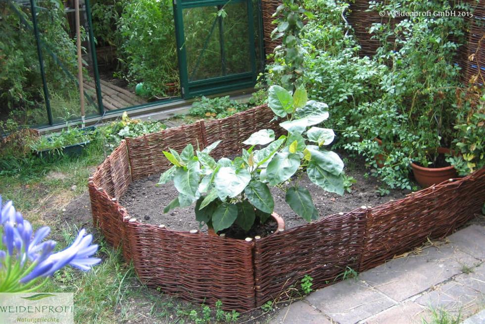 Weidenzaun als Beeteinfassung