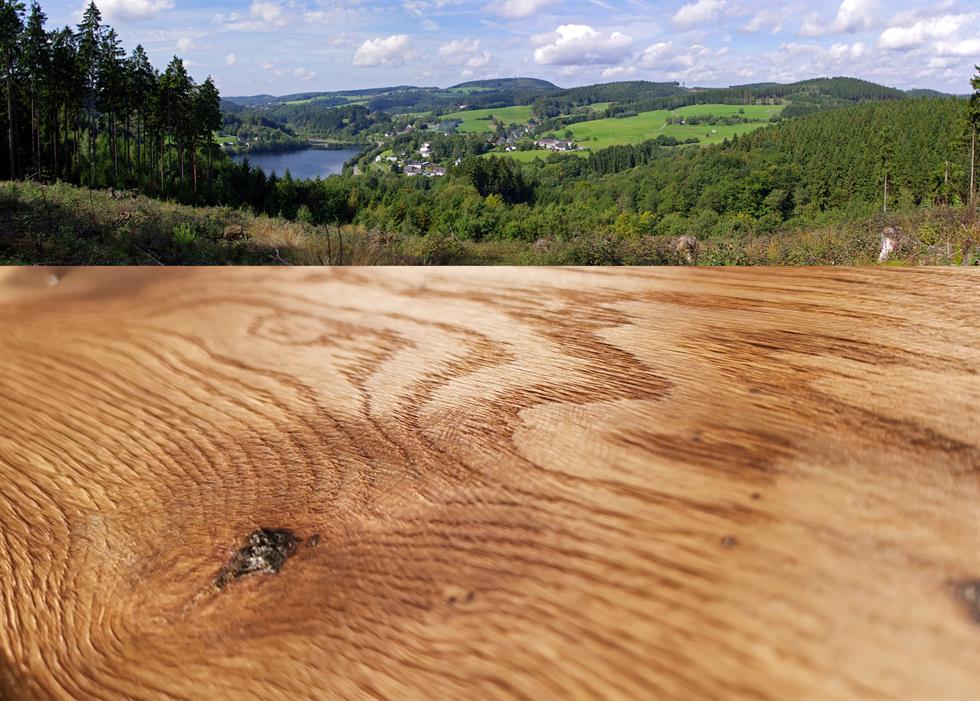 Edition Stüppershof: Landhausdiele Bergischer Boden