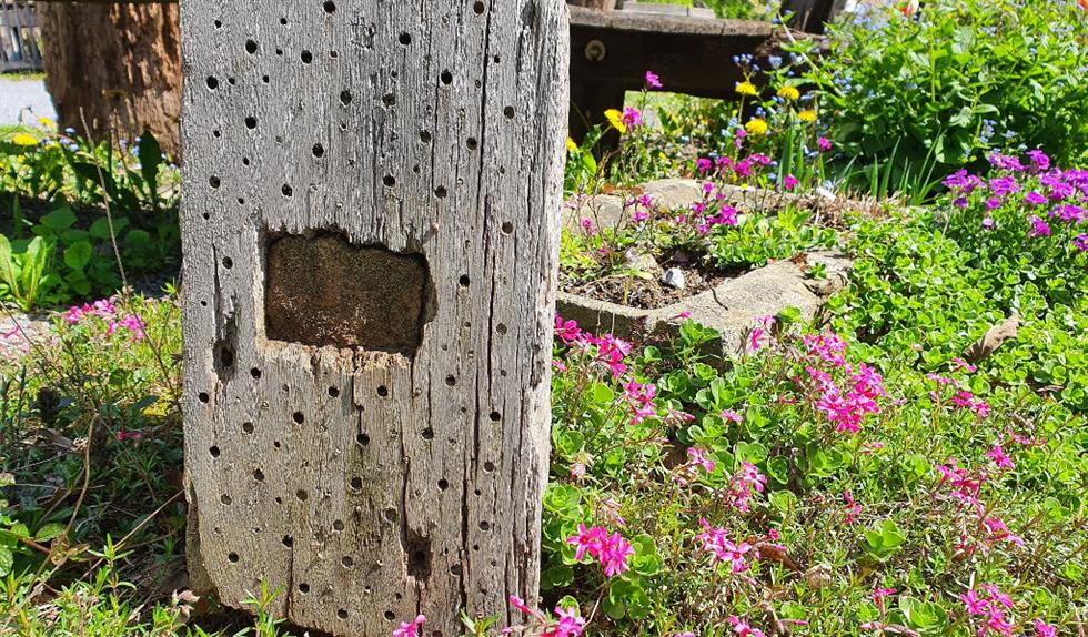 Abgelagertes Holz zum Bau von Insektennisthilfen