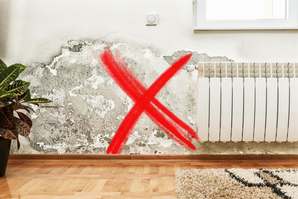 19.09.2023: Info-Abend "Energiesparen, aber ohne Schimmel"