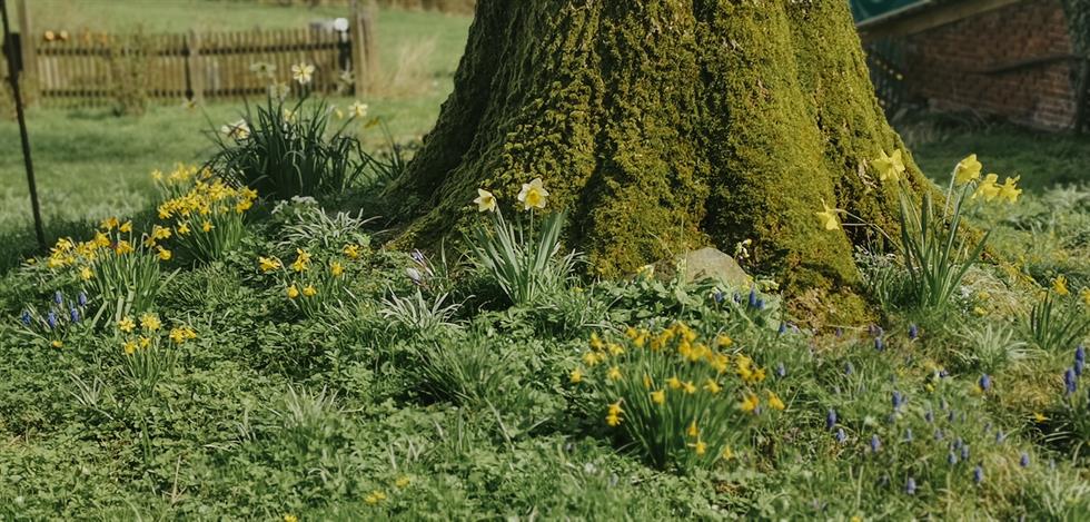 Kleine Osterpause 2024: Ostersamstag geschlossen