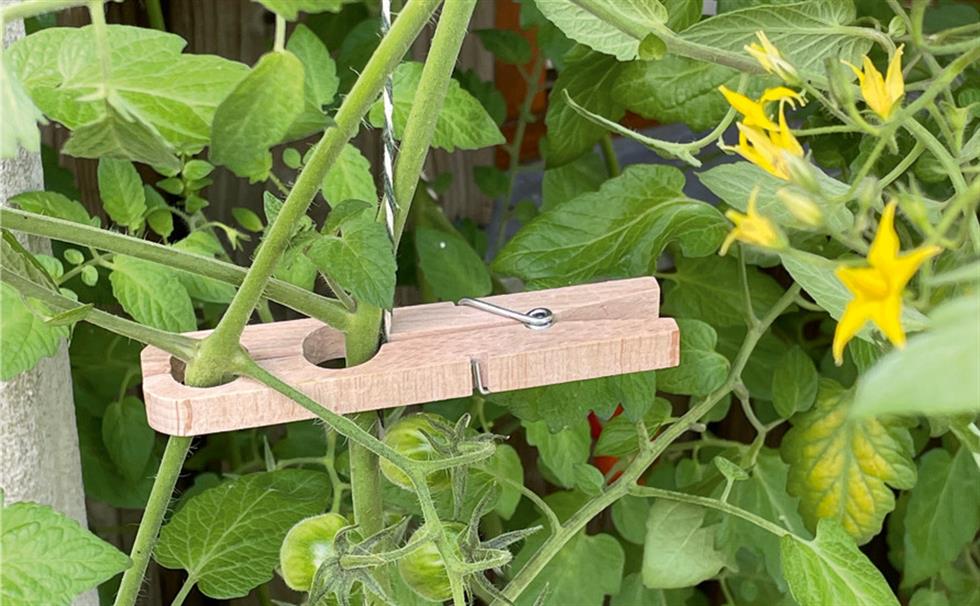 Jetzt ab ins Beet mit dem jungem Gemüse – mit plastikfreier Rankhilfe 