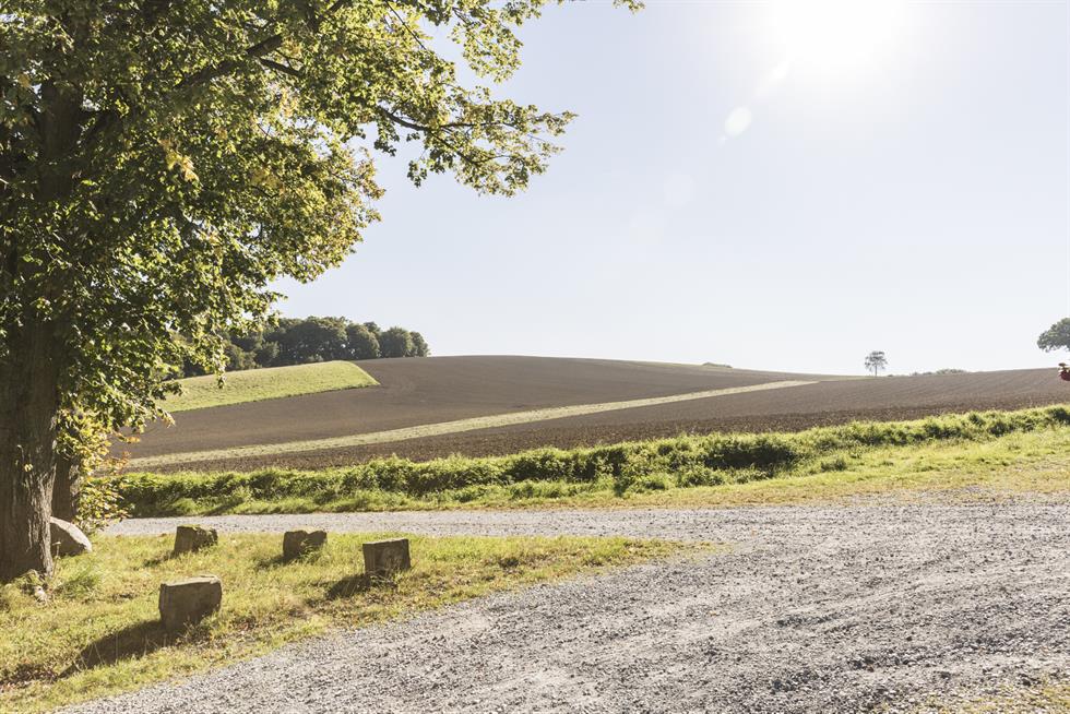 Dämmung - Naturbauhaus Hetfeld