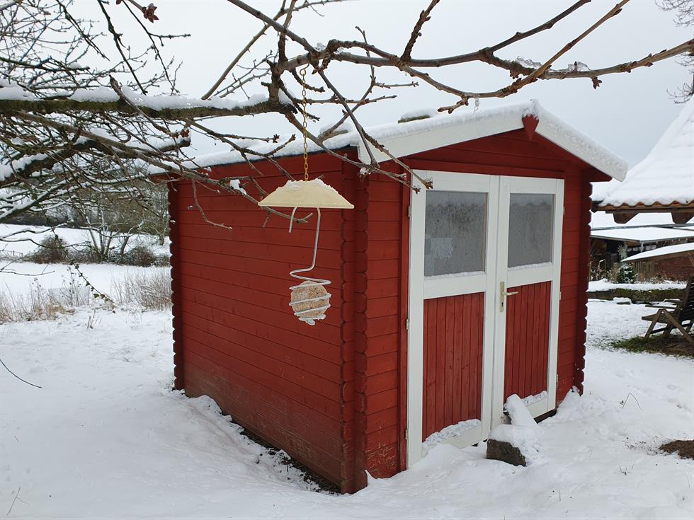 Wintergäste im Garten und auf dem Balkon